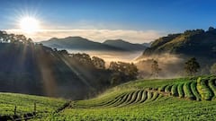 भारत के इन शहरों की हवा में नहीं घुला है जहर, दिल्ली से 17 गुना साफ हवा में सांस ले रहे लोग