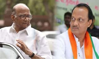 काका पुतण्या एकत्र येणार का ? दादा म्हणाले मी ज्योतिष नाही, राजकारणात काहीही होऊ शकतं