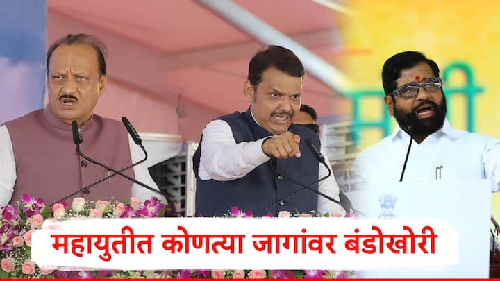 Maharashtra Assembly Election 2024 : महायुतीतील नेत्यांकडून विधानसभा निवडणुकीसाठी झालेल्या बंडखोरीला शमवण्याचे प्रयत्न  केले जात आहेत.