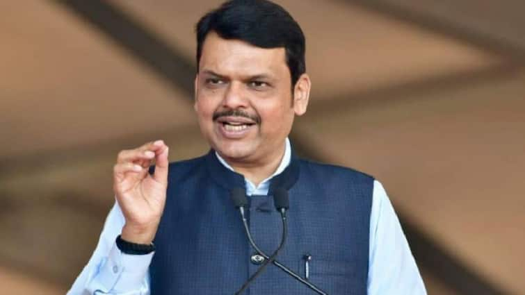 'Surrounded By Urban Naxals, Less Of A Congressman': Fadnavis Slams Rahul Gandhi Over Red-Covered Constitution