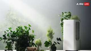 क्या हवा में मौजूद बदबू भी दूर कर सकते हैं एयर प्यूरीफायर, जानें इनका क्या होता है काम?