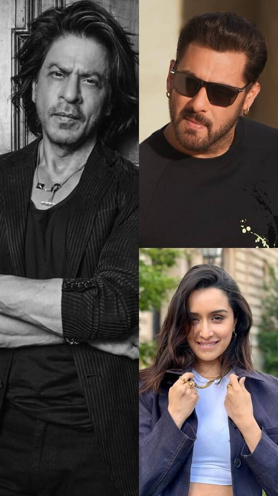 मूवी में इन स्टार्स के कैमियो ने दर्शकों का जीता था दिल