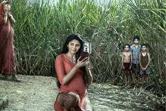 Halloween 2024: 'स्त्री 2' , 'मुंज्या' आणि 'भूल भूलैया 2'; 'या' हॅलोवीनला OTT वर हॉरर फिल्म्स करा एन्जॉय!