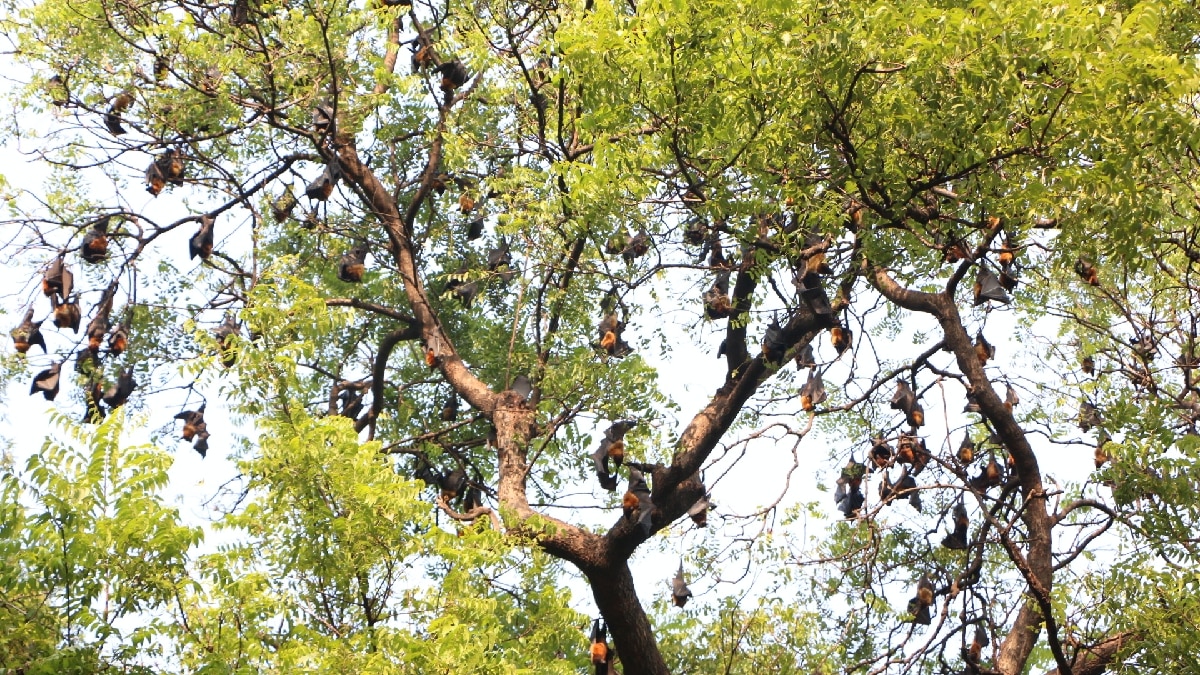 சேலம் மாநகரில் இந்த இடத்தில் பட்டாசு வெடிக்க வேண்டாம்... கோரிக்கை வைத்த மாமன்ற உறுப்பினர்.