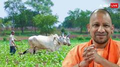 यूपी में इन चीजों पर पर मिल रही है सबसे ज्यादा सब्सिडी, जान लें कैसे उठा सकते हैं लाभ