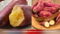 ਸ਼ਕਰਕੰਦੀ ਖਾਣ ਦੇ ਅਣਗਿਣਤ ਫਾਇਦੇ, ਹੱਡੀਆਂ ਤੋਂ ਲੈ ਕੇ ਦਿਲ ਦੇ ਲਈ ਲਾਹੇਵੰਦ