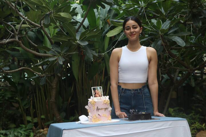 অনন্যার মুখে কুলুপ, কিন্তু জন্মদিন উপলক্ষে অনন্যার ছবি ভাগ করে নিয়ে ওয়াকার লিখেছেন, “শুভ জন্মদিন সুন্দরী! তুমি বড্ড স্পেশ্যাল! আই লাভ ইউ অ্যানি।”