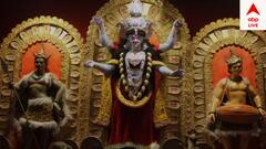 Kali Puja 2024: মণ্ডপ সজ্জায় পুতুল গ্রামের ইতিকথা, ৪২ বছরে পা রাখল দমদম মিলন চক্র ক্লাবের কালীপুজো