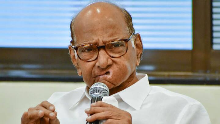 महाराष्ट्र में विधानसभा चुनाव का बिगुल बज चुका है. ये चुनाव शरद पवार और उनके भतीजे अजित पवार के लिए काफी ज्यादा अहम जा रहा है.