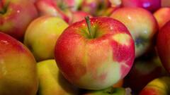 Apple:தினமும் ஆப்பிள் சாப்பிடுவது நல்லதா? ஊட்டச்சத்து நிபுணர்கள் சொல்வது என்ன?