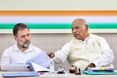 મહારાષ્ટ્રમાં કોંગ્રેસનો દબદબો, 50 ટકા વધશે બેઠકો, એનસીપી-શિવસેનાને મોટું નુકસાન, નવા સર્વેએ ચોંકાવ્યા