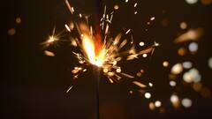 Lungs Care On Diwali 2024: দীপাবলিতে দেদার বাজি পুড়ল, আপনার ফুসফুসকে বাঁচাবেন কীভাবে ?