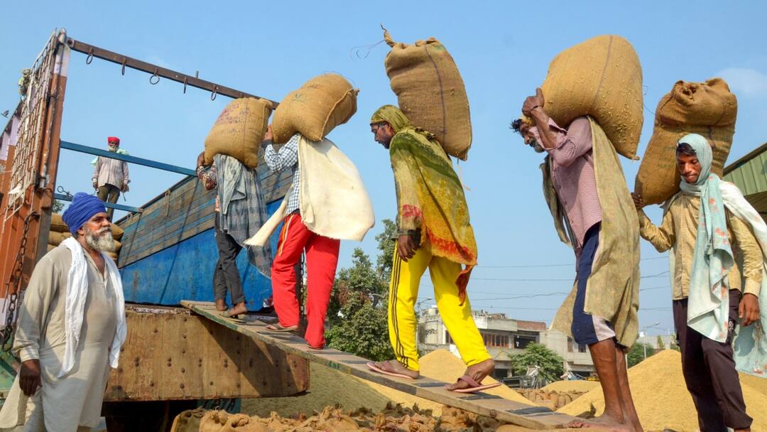 यूपी के इन जिलों में शुरू हुई धान की खरीद, 48 घंटे के भीतर किसानों को मिलेगा भुगतान UP Paddy procurement started Many districts 48 hours farmers payment यूपी के इन जिलों में शुरू हुई धान की खरीद, 48 घंटे के भीतर किसानों को मिलेगा भुगतान
