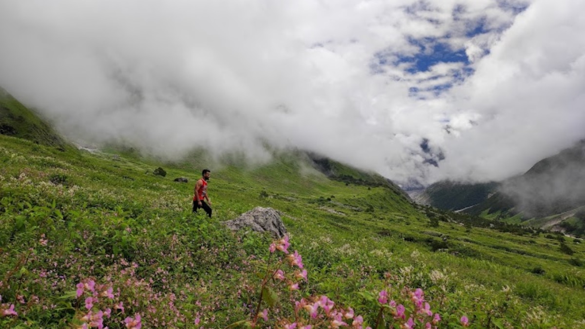 उत्तराखंड के ‘फूलों की घाटी’ शीतकाल के लिए बंद, पर्यटकों की आमद रहा फायदेमंद