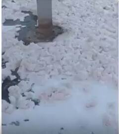 यमुना नदी में नहीं कम हो रहा जल प्रदूषण, तैर रहा सफेद झाग | ABP NEWS SHORTS