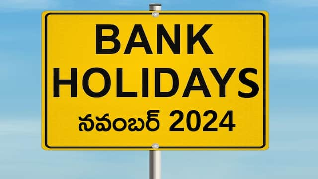 Bank Holidays: ఈ నెలలో బ్యాంక్‌లు 12 రోజులు సెలవుల్లోనే ఉంటాయి, మీకేదైనా ముఖ్యమైన పని ఉందా?