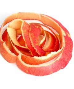 ਸੇਬ, ਸੰਤਰੇ ਸਣੇ ਇਹ ਵਾਲੇ ਫਲਾਂ ਦੇ ਛਿਲਕਿਆਂ ਦਾ ਸੇਵਨ ਸਿਹਤ ਲਈ ਲਾਭਕਾਰੀ, ਜਾਣੋ ਕਿਵੇਂ ਮਿਲਦਾ ਫਾਇਦਾ