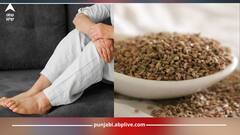 Uric Acid ਦੇ ਮਰੀਜ਼ਾਂ ਲਈ ਅਜਵਾਇਣ ਦਾ ਇੱਕ ਚਮਚ ਵਰਦਾਨ, ਰਾਤੋ ਰਾਤ ਘਟਾ ਦੇਏਗਾ, ਇੰਝ ਕਰੋ ਵਰਤੋਂ