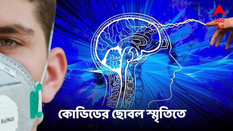 স্মৃতিভ্রংশ হচ্ছে কম বয়সেই, ঘিরে ধরছে অবসাদ ! মস্তিষ্কেও কোভিডের বিষদাঁত, চাঞ্চল্যকর ফল গবেষণায়