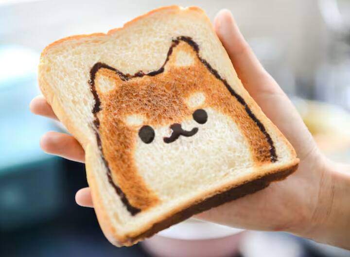 ਬਰੈੱਡ ਬਣਾਉਣ ਦੀ ਪ੍ਰਕਿਰਿਆ ਦੌਰਾਨ ਰੋਟੀ 'ਤੇ ਬਰੈੱਡ ਬਣਦੇ ਹਨ। ਇਹ ਪ੍ਰਕਿਰਿਆ ਖਮੀਰ ਦੇ ਕਾਰਨ ਹੁੰਦੀ ਹੈ. ਖਮੀਰ ਇੱਕ ਸੂਖਮ ਜੀਵ ਹੈ ਜੋ ਆਟੇ ਵਿੱਚ ਮੌਜੂਦ ਚੀਨੀ ਨੂੰ ਖਾ ਕੇ ਕਾਰਬਨ ਡਾਈਆਕਸਾਈਡ ਗੈਸ ਛੱਡਦਾ ਹੈ।