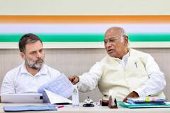 महराष्ट्र में कांग्रेस का जलवा, 50 फीसदी बढ़ेंगी सीटें, एनसीपी-शिवसेना का बड़ा नुकसान, नये सर्वे ने चौंकाया