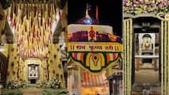 650 किलो शेवंती, 180 किलो भगवा झेंडू अन् 300 किलो अष्टराची फुलं; लक्ष्मीपूजनासाठी विठुरायाच्या  गाभाऱ्याला आकर्षक सजावट