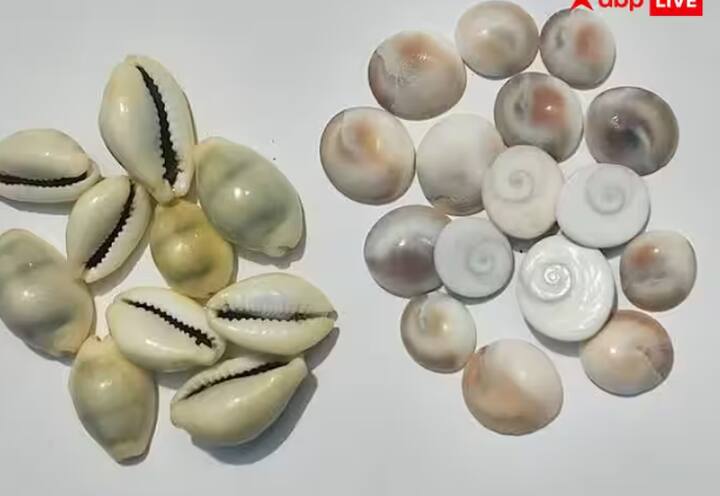 ਗੋਮਤੀ ਚੱਕਰ ਨੂੰ ਤਿਜੋਰੀ 'ਚ ਰੱਖਣਾ ਬਹੁਤ ਸ਼ੁਭ ਮੰਨਿਆ ਜਾਂਦਾ ਹੈ। ਧਨ-ਦੌਲਤ ਵਧਾਉਣ ਲਈ ਦੀਵਾਲੀ ਦੀ ਰਾਤ ਨੂੰ ਤੁਸੀਂ ਹਲਦੀ ਅਤੇ ਚਾਂਦੀ ਦੇ ਸਿੱਕਿਆਂ ਨਾਲ 5 ਗੋਮਤੀ ਚੱਕਰ ਪੀਲੇ ਕੱਪੜੇ 'ਚ ਬੰਨ੍ਹ ਕੇ ਤਿਜੋਰੀ 'ਚ ਰੱਖ ਸਕਦੇ ਹੋ।