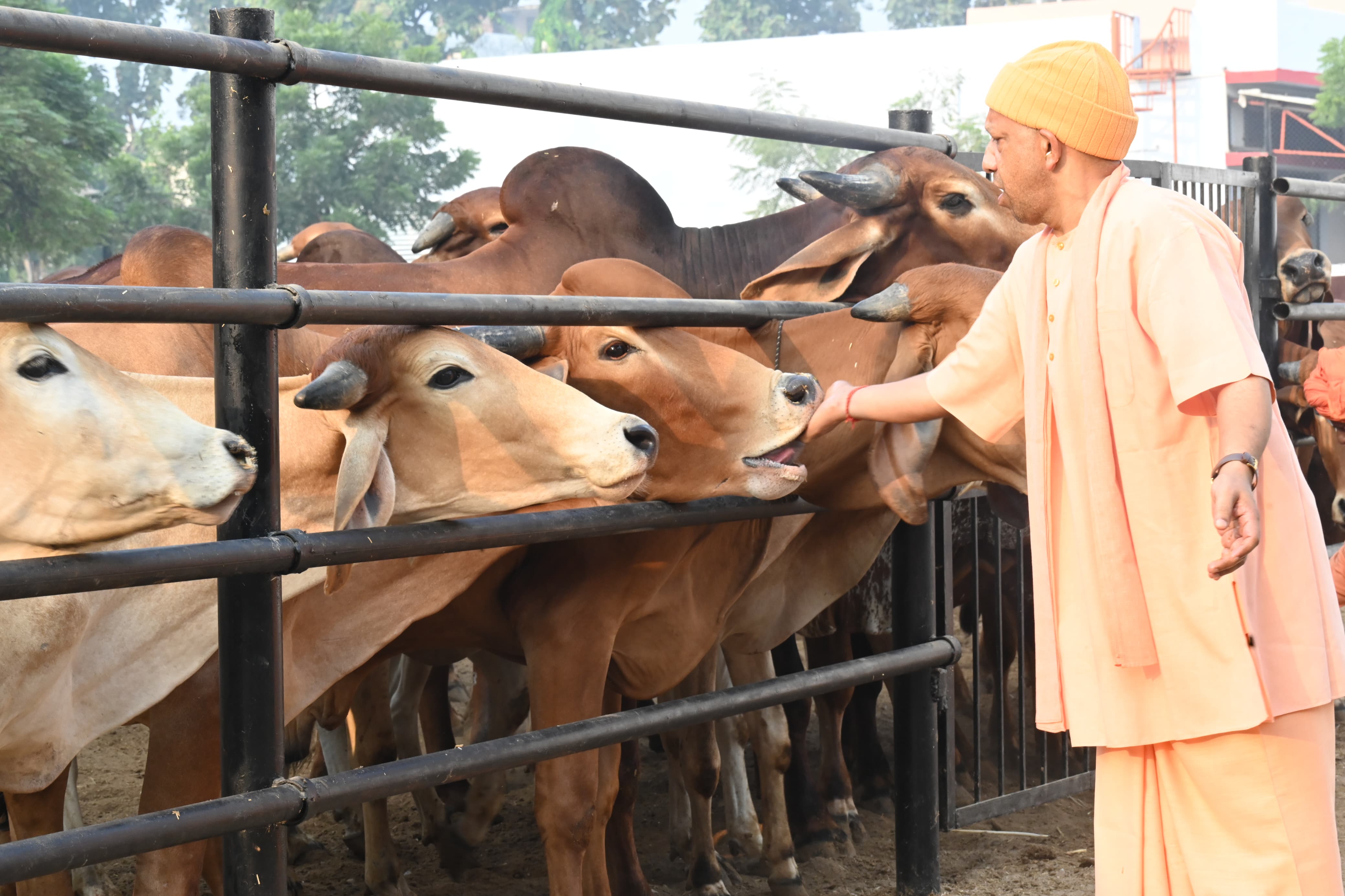 Gorakhpur News: 'गरीबों की जमीन कब्जाने वाले अपराधी बख्शे नहीं जाएंगे' जनता दर्शन में सीएम योगी ने सुनी फरियाद