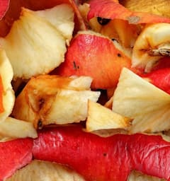 ਸੇਬ, ਸੰਤਰੇ ਸਣੇ ਇਹ ਵਾਲੇ ਫਲਾਂ ਦੇ ਛਿਲਕਿਆਂ ਦਾ ਸੇਵਨ ਸਿਹਤ ਲਈ ਲਾਭਕਾਰੀ, ਜਾਣੋ ਕਿਵੇਂ ਮਿਲਦਾ ਫਾਇਦਾ