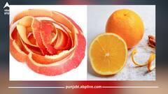 ਸੇਬ, ਸੰਤਰੇ ਸਣੇ ਇਹ ਵਾਲੇ ਫਲਾਂ ਦੇ ਛਿਲਕਿਆਂ ਦਾ ਸੇਵਨ ਸਿਹਤ ਲਈ ਲਾਭਕਾਰੀ, ਜਾਣੋ ਕਿਵੇਂ ਮਿਲਦਾ ਫਾਇਦਾ