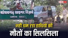 MP: बांधवगढ़ टाइगर रिजर्व में मृतक हाथियों की संख्या 10 हुई, अब तक क्या कुछ पता चला?