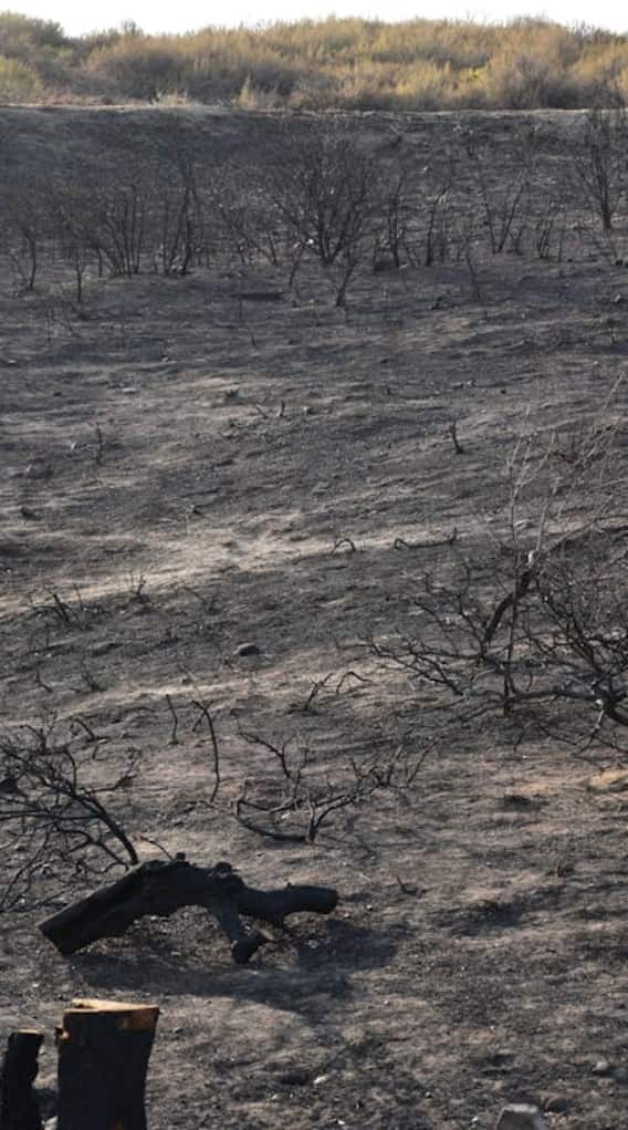 क्या वाकई पराली जलाने से अच्छी होती है फसल?