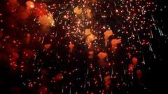 Lungs Care On Diwali 2024: দীপাবলিতে দেদার বাজি পুড়ল, আপনার ফুসফুসকে বাঁচাবেন কীভাবে ?