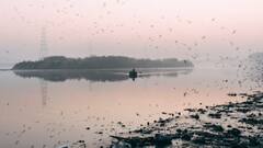 Delhi Air Pollution: বায়ুদূষণ নিয়ে ফের শঙ্কা, কীভাবে থাকবেন সুস্থ?