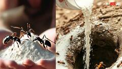 अमीर बनने के 6 संकेत तो समझ लें कि आप भाग्यशाली हैं