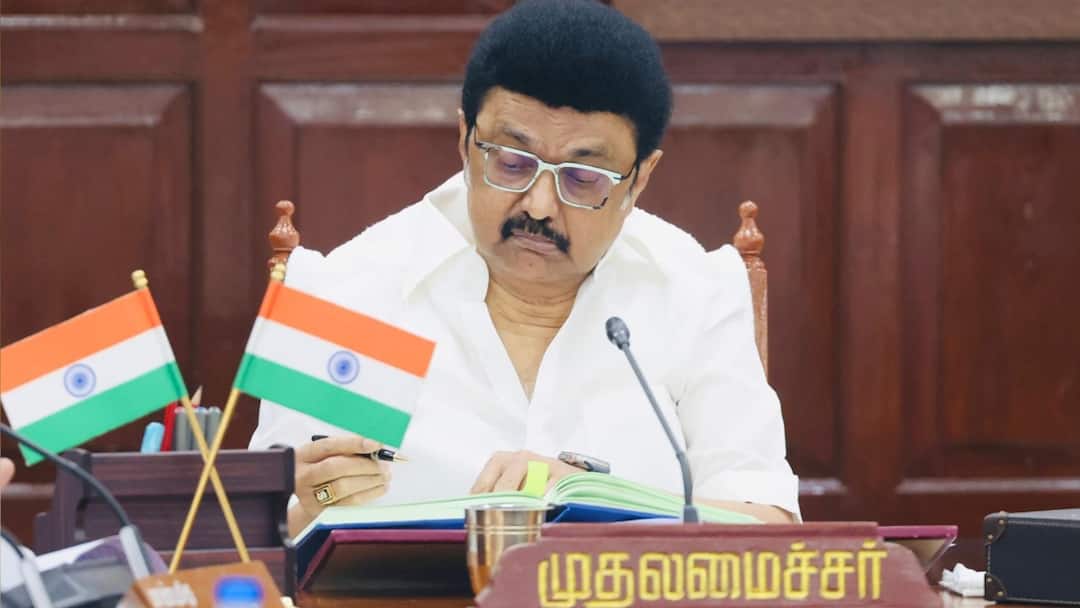 Tamil Nadu Formation Day Debate Back As NDA, CM Stalin Mark Nov 1 With Different Events Tamil Nadu Formation Day Debate Back As NDA Vijay CM Stalin Mark November 1 With Different Events Tamil Nadu Formation Day Debate Back As NDA, CM Stalin Mark Nov 1 With Different Events