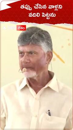 వైసీపీపై విరుచుకుపడిన సీఎం చంద్రబాబు