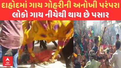 Gay Gohari Mela 2024 : દાહોદમાં ગાય ગોહરીની અનોખી પરંપરા, લોકો ગાય નીચેથી થાય છે પસાર