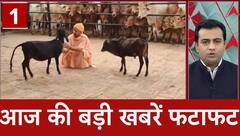 Gorakhpur: Govardhan Puja पर CM Yogi ने की पूजा, गाय को ​खिलाया खाना | ABP News |