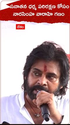 త్వరలోనే జనసే సనాతన పరిరక్షణ విభాగం