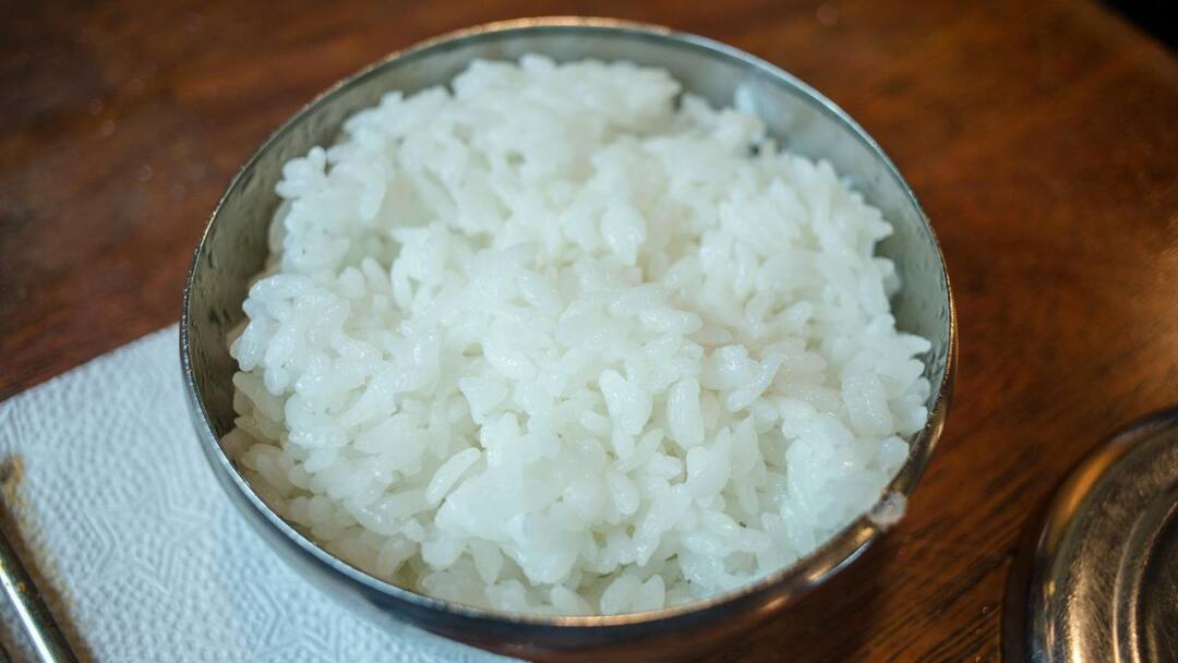 Cooked Rice Storing Tips: ফ্রিজে কীভাবে সাদাভাত রাখলে অনেকদিন ঠিক থাকবে? রইল সহজ টিপস some easy tips to safely storing leftover cooked rice check the list Cooked Rice Storing Tips: ফ্রিজে কীভাবে সাদাভাত রাখলে অনেকদিন ঠিক থাকবে? রইল সহজ টিপস