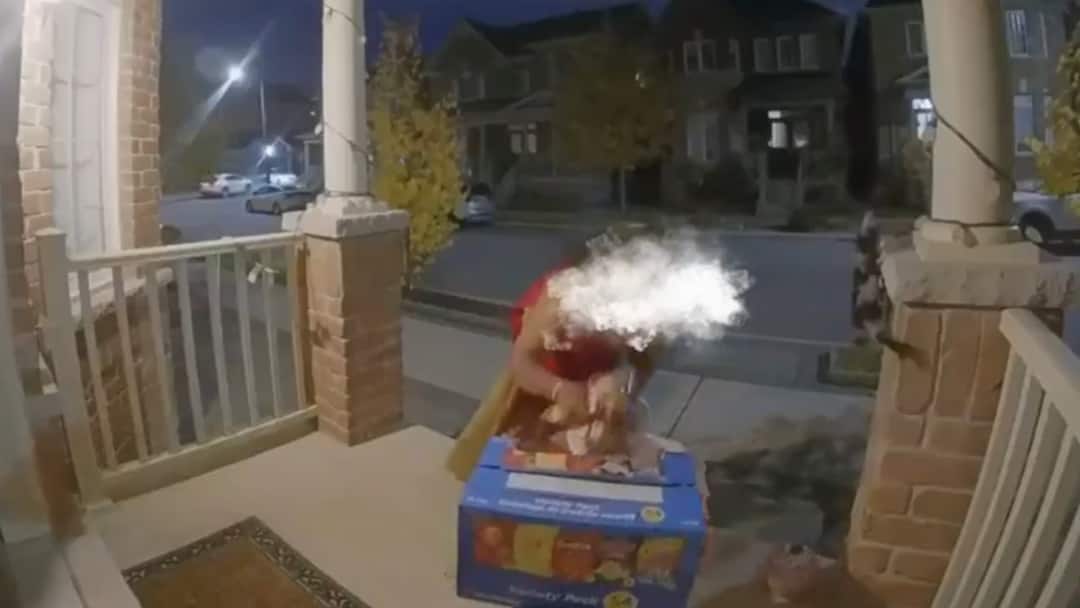 'Indian' Woman Porch Pirate Steals Halloween Candies In Canada, Cleans Up Bowls And Lights Too: WATCH 'Indian' Woman Porch Pirate Steals Halloween Candies In Canada, Cleans Up Bowls And Lights Too: WATCH