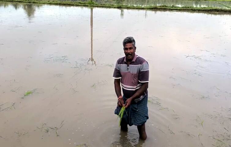 Theni district Due to heavy rain  various places were flooded and damaged - TNN தேனி மாவட்டத்தில் வெளுத்து வாங்கிய கனமழையால்  பல்வேறு இடங்கள் நீரில் மூழ்கி சேதம்