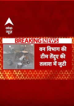 Banswara Panther: बांसवाड़ा में घर में घुसा तेंदुआ | Rajasthan News