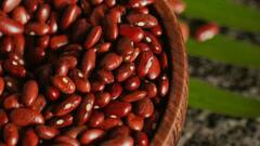 Rajma Eating Benefits: আমিষভোজীরাও সপ্তাহে অন্তত একদিন পাতে রাখুন রাজমা, কিন্তু কেন?