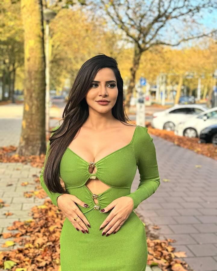 అషూరెడ్డి ఇన్​స్టా పోస్టులకు సోషల్ మీడియాలో ఉండే క్రేజ్ వేరు. ఈ భామ తన లుక్స్​తో ఫ్యాషన్ ప్రేమికులను, ఆమె అభిమానులను అస్సలు డిస్సాపాయింట్ చేయదు.(Images Source : Instagram/Aashu Reddy)