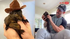 इस गिलहरी के सोशल मीडिया पर हैं 6 लाख से ज्यादा फॉलोअर, अधिकारियों ने घर में घुस मार गिराया, जानिए वजह