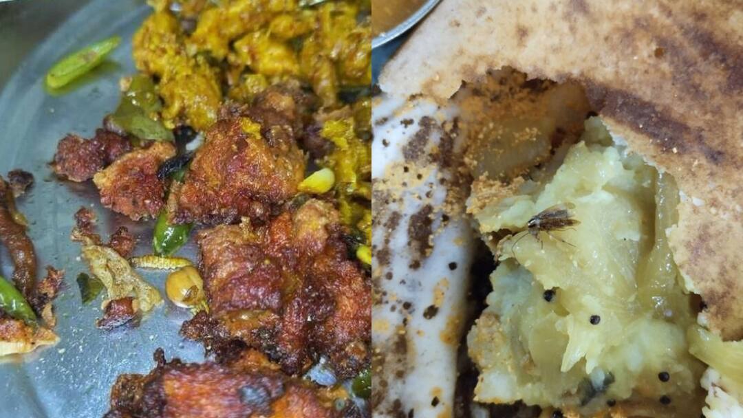 insects in dosa and chicken fry in hyderabad Hyderabad News: బయటి ఫుడ్ తింటున్నారా? - చికెన్‌లో పురుగు, దోశలో బొద్దింక - ఇవి చూస్తే నిజంగా షాక్