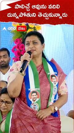 పాలిచ్చే ఆవును వదిలేసి దున్నపోతును తెచ్చుకున్నారు