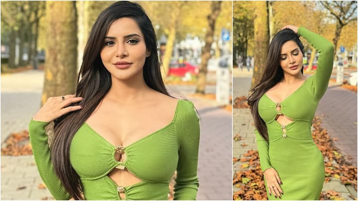 Aashu Reddy Latest Photos : అషూరెడ్డి తన లేటెస్ట్ ఫోటోలను ఇన్​స్టాలో షేర్ చేసింది. గ్రీన్ కలర్ బాడీకాన్ డ్రెస్​లో హాట్ ఫోజులిచ్చింది బ్యూటీ.